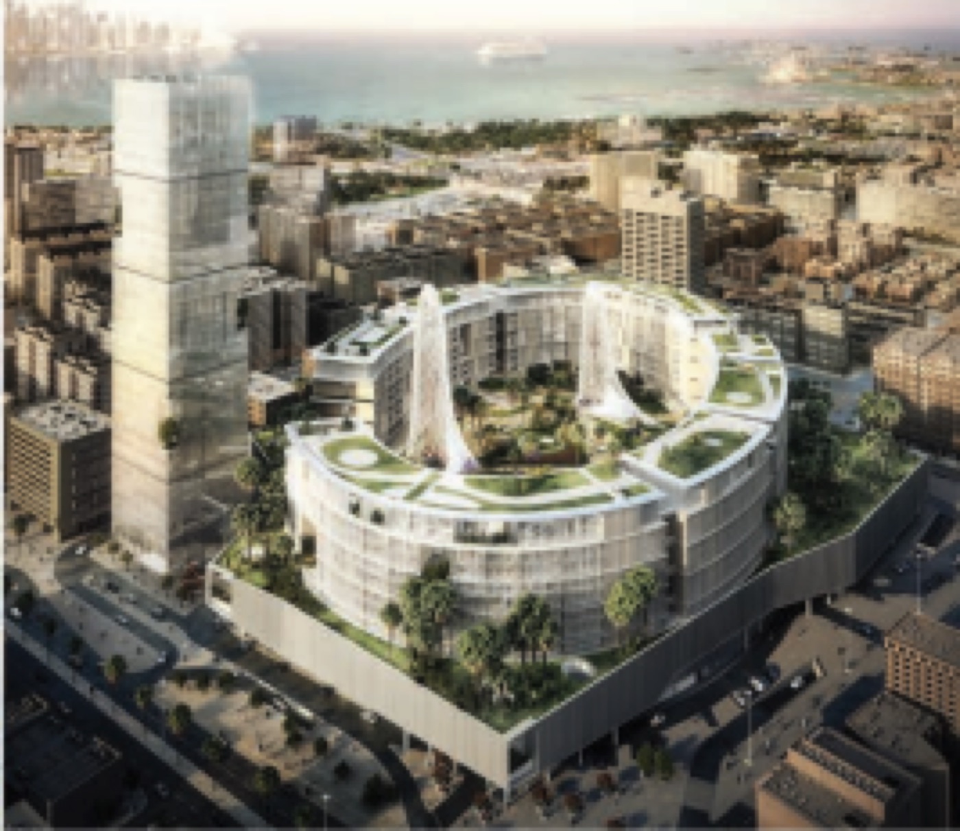 Doha Oasis